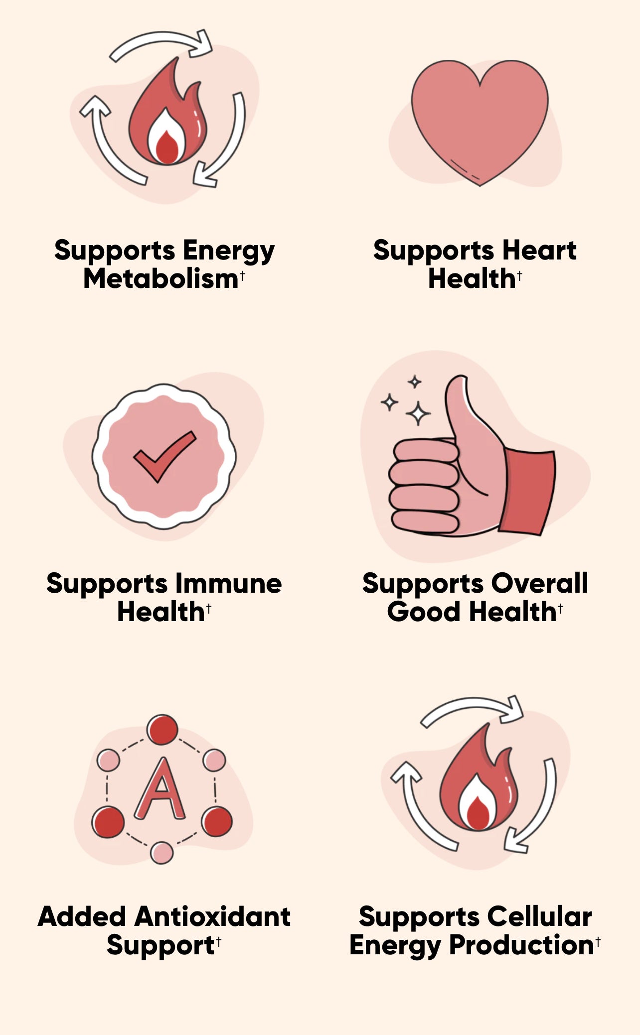 Apple Cider
Vinegar
Gummies