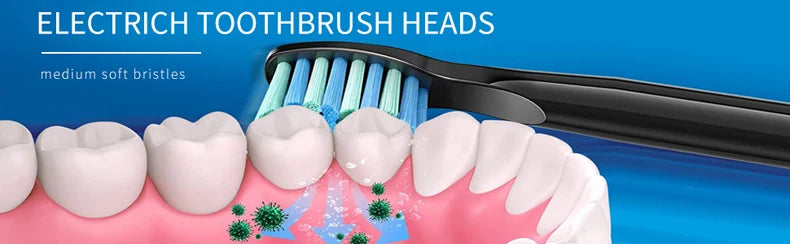 Electric Toothbrush Heads Sonic Replaceable Seago Tooth brush Head Soft Bristle SG-507/508/551/548/575/949/958/2303